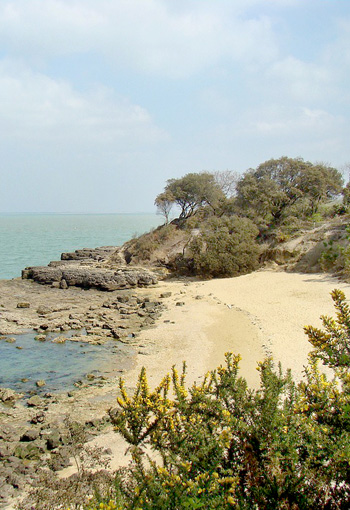 Ile d'Aix / louer une maison de vacance